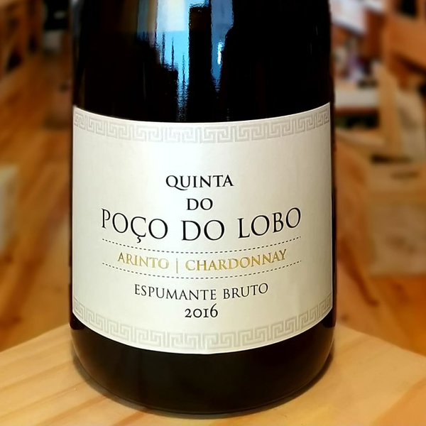Quinta do Poço do Lobo, Bairrada — Italianino