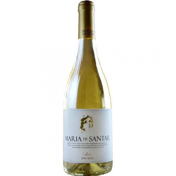 Maria de Santar,Dão — Italianino