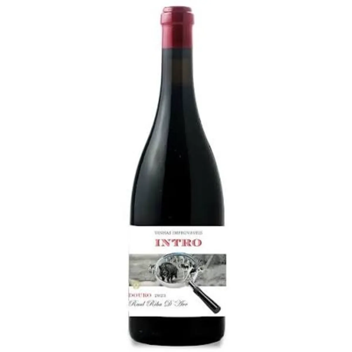 INTRO 2023 - Douro — Venda Nova 25, Águeda