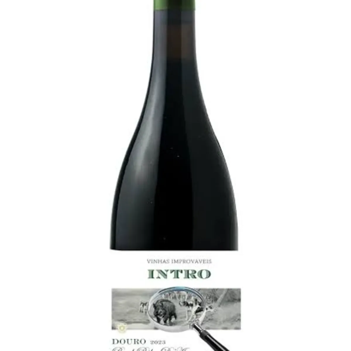 INTRO BRANCO 2023 - DOURO — Venda Nova 25, Águeda