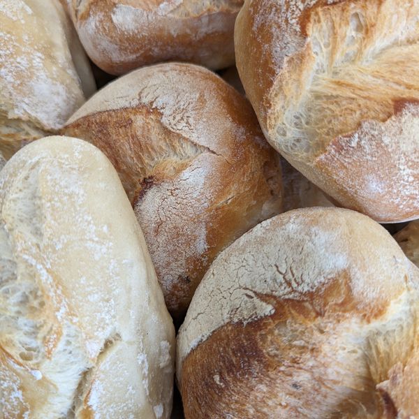 PÃO — Venda Nova 25, Águeda