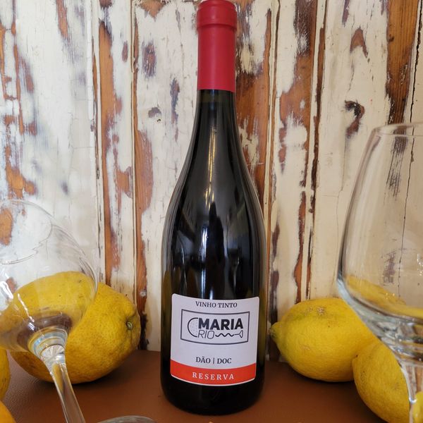 Maria Rio — Maria Rio, Coimbra