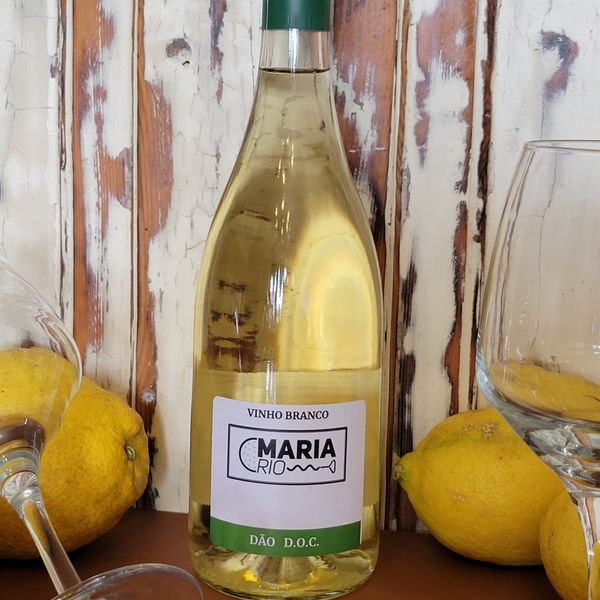 Maria Rio — Maria Rio, Coimbra
