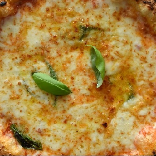 Marguerita (Vg) — Oco Lumiar, Lisboa
